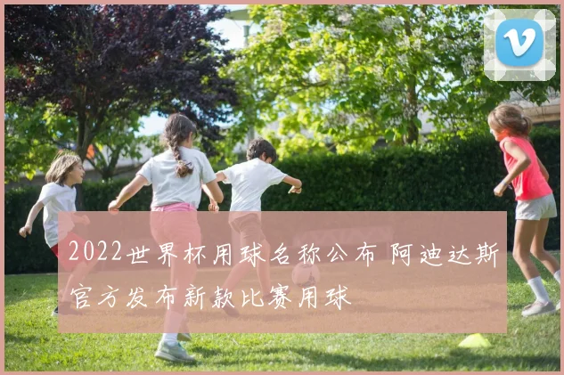 2022世界杯用球名称公布 阿迪达斯官方发布新款比赛用球