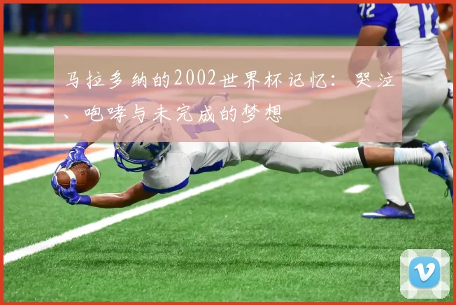 马拉多纳的2002世界杯记忆:哭泣、咆哮与未完成的梦想