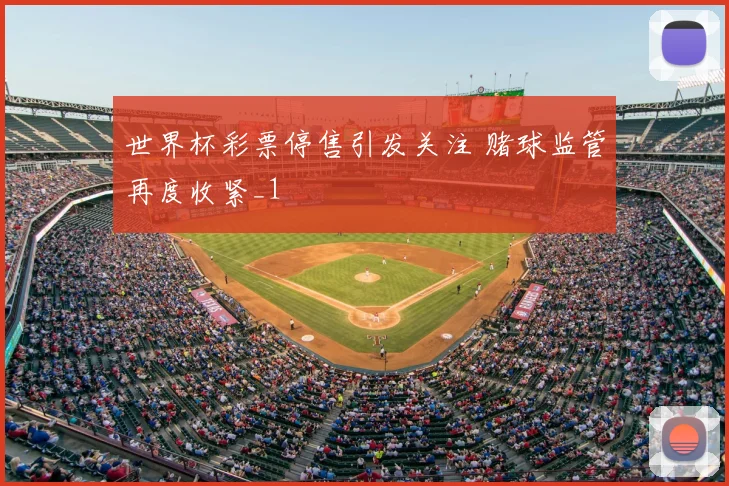 世界杯彩票停售引发关注 赌球监管再度收紧_1