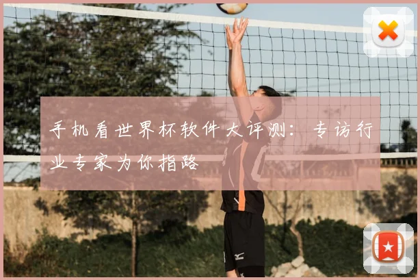 手机看世界杯软件大评测:专访行业专家为你指路