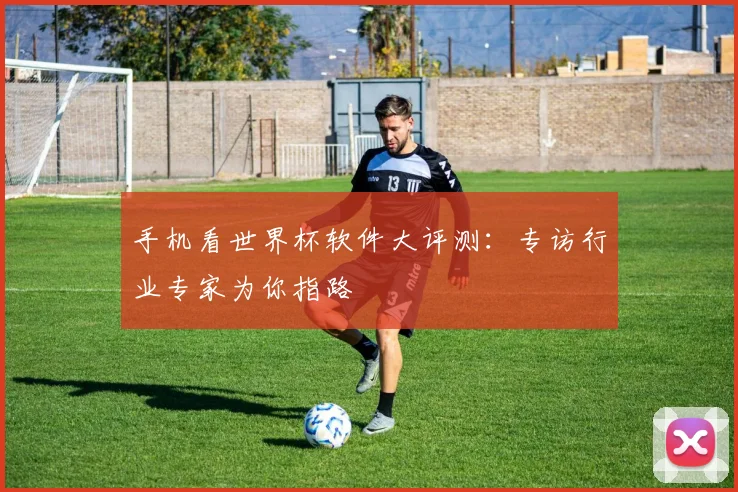 手机看世界杯软件大评测:专访行业专家为你指路