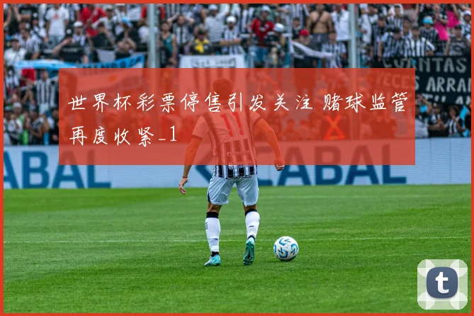 世界杯彩票停售引发关注 赌球监管再度收紧_1