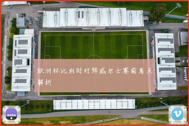 欧洲杯比利时对阵威尔士赛前看点解析