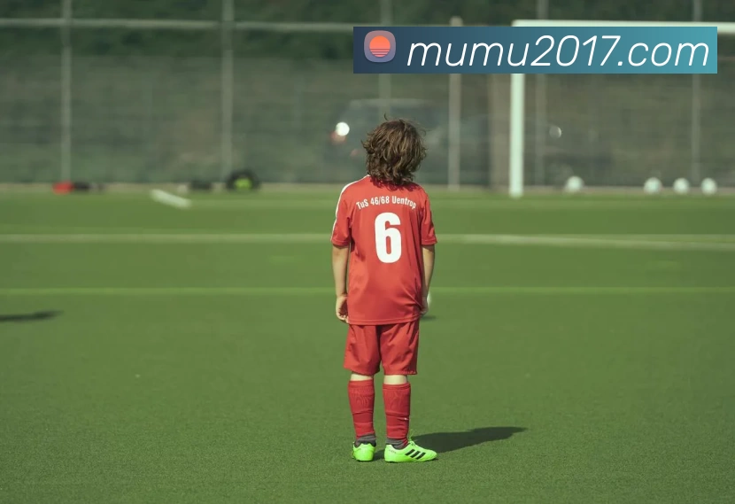 开云(中国)Kaiyun·官方网站平台生态图