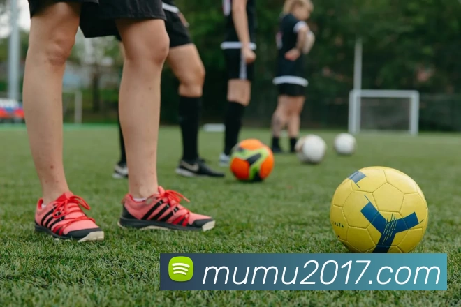 App Interface Preview