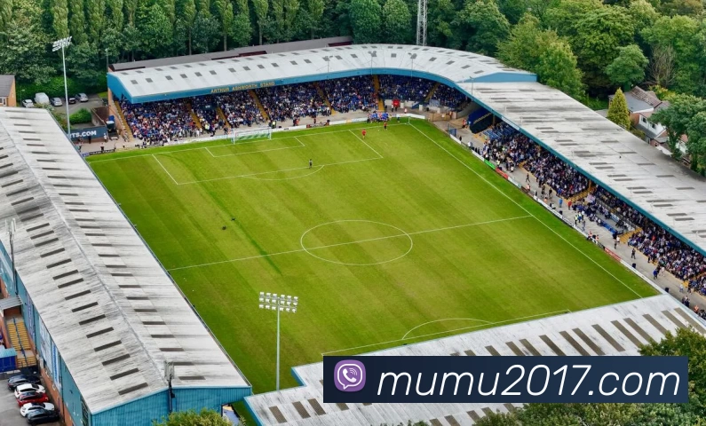 开云(中国)Kaiyun·体育官方网站 - 登录入口APP 封面图